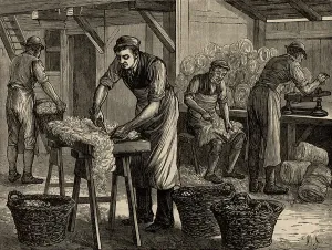 Textile Manufacturing Equipment Drucke: Woolsorters, 1880 (engraving)
