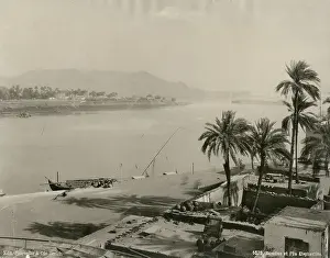 Palm Tree Landscape Photography Drucke: View of Elephantine, Aswan, Egypt