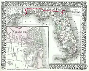Rare Antique Maps For Sale Online Drucke: 1874, Mitchell Map of Florida w- Mobile, Alabama inset, topography, cartography, geography