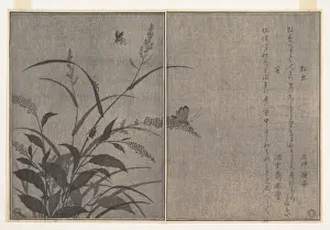 Edo Period Illustrations Drucke: ÒÇ