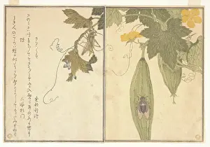 Kitagawa Utamaro Art Drucke: ÒÇ