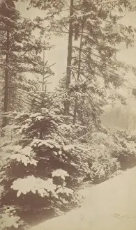 Artokoloro