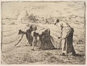 Artokoloro
