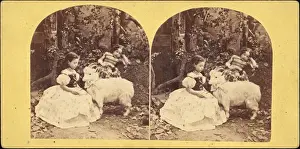 Artokoloro
