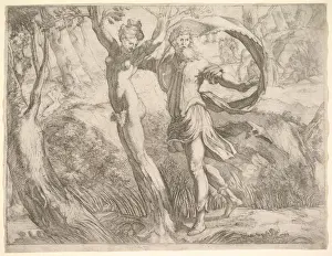 Artokoloro