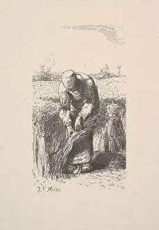 Artokoloro