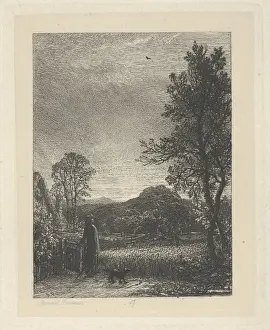 Artokoloro