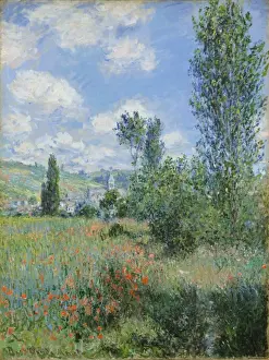 Artokoloro