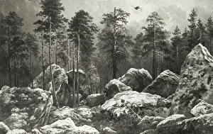 Swedish Forest Landscape Drucke: August Winqvist Study Forest Hogdal Forest study