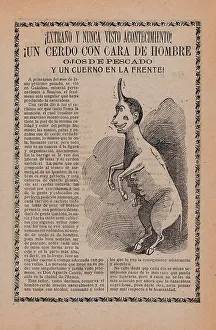 Mexican Folklore Inspired Art Drucke: Broadsheet, relating, freaks, nature, right, creature, half human, half pig, single horn