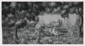 Vogelscharen