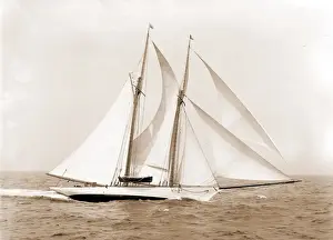Korona ist Flaggschiff von Commodore Ledyard Korona (Schoner) Segelboote Jachten 1900