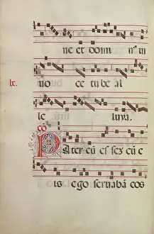 Italian Renaissance Manuscripts Drucke: Decorated Initial P
