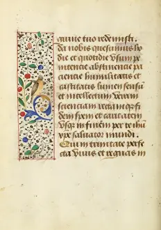 Medieval Manuscript Page Drucke: Decorated Text Page