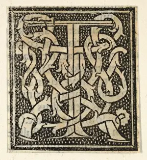 Zeichnungen Drucke, Druck, Initial, Buchstabe, T, gemustertes Hintergrundbild , Künstler, Italienisch