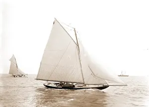 Vintage Sailboats Drucke: Drusilla, Drusilla (Sloop), Yachts, 1892