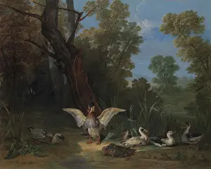 Drucke von Artokoloro O Drucke: Entspannte Enten Sonnenschein 1753 Öl Leinwand 25 1/2 x 31 3/4