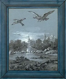 Der Adler und die Amsel