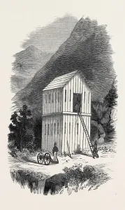 Crime And Punishment History Drucke: Source Size = 1812 x 2995