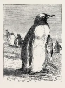 Quellengröße = 1877 x 2482