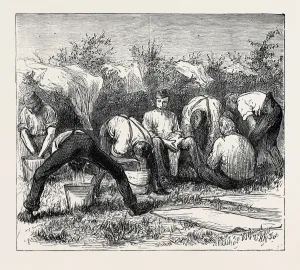 Victorian Era Engraved Images Drucke: Source Size = 1904 x 1683