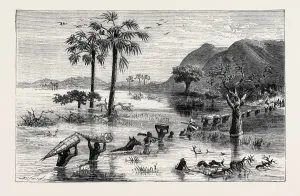 David Livingstone Discovery Drucke: Source Size = 2642 x 1692