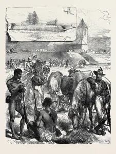 Zulu War Drucke: Source Size = 3555 x 4696