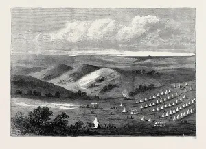 Vintage Engraved Prints Drucke: Source Size = 3600 x 2561