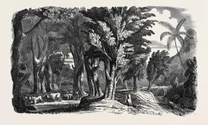 Victorian Era Woodcut Illustrations Drucke: Source Size = 3643 x 2156
