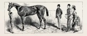 Horse Training Techniques Drucke: Source Size = 3732 x 1538
