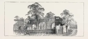 Antique Engraved Images Online Drucke: Source Size = 3757 x 1672