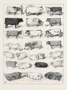 Retro Styled Animal Art Drucke: Source Size = 3758 x 4971