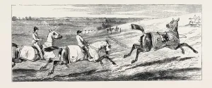 Horse Training Techniques Drucke: Source Size = 3766 x 1537