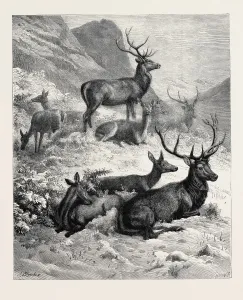 Historical Scottish Landscapes Drucke: Source Size = 3800 x 4604