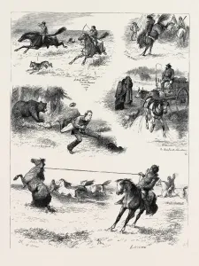 Vintage Horse Riding Images Drucke: Source Size = 3806 x 4983
