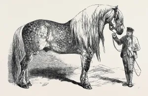 Retro Styled Animal Illustration Drucke: Source Size = 3840 x 2447