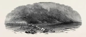 Engraved Vintage Illustrations Drucke: Source Size = 3876 x 1644