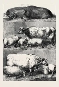 Retro Styled Animal Art Drucke: Source Size = 3936 x 5727