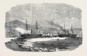 Vintage Nautical Illustration Drucke: Source Size = 3948 x 2491