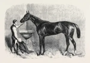 Victorian Era Horses Drucke: Source Size = 3983 x 2732