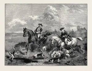 Horse Illustration Drucke: Source Size = 5010 x 3764