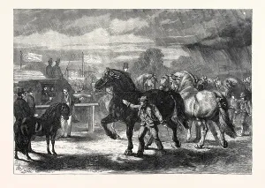 Victorian Era Agriculture Drucke: Source Size = 5748 x 4005