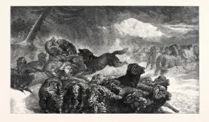 Vintage Engravings Drucke: Source Size = 5829 x 3353