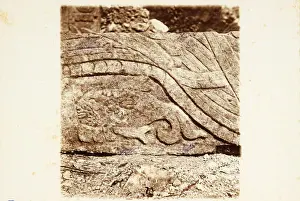 Yucatan Peninsula Archaeology Drucke: Fish relief Platform Venus Chichen Itza Views