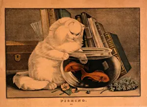 Whimsical Animal Art Drucke: Fishing / E. B. & E. C. Kellogg, 245 Main St