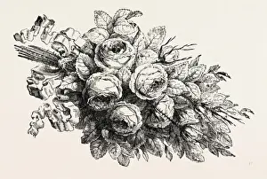 Retro Style Botanical Prints Drucke: Flower, flowers