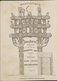 Vorderplatte Baumdrachenkult Illustrationen