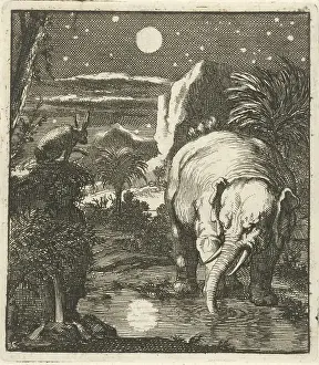 Hase Elefant Vollmond Wasserquelle Rüsselträger Tiere
