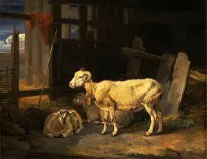 Oil On Canvas For Sale Drucke: Heath Ewe and Lambs Signed and dated in black paint, lower left: J