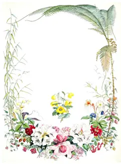 Walter Hood Fitch Artist Drucke: Illustrations of Himalayan plants. [Title page]. Fitch, W. H. (Walter Hood) (1817-1892)
